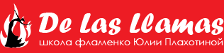 Flamenco Dance Academy